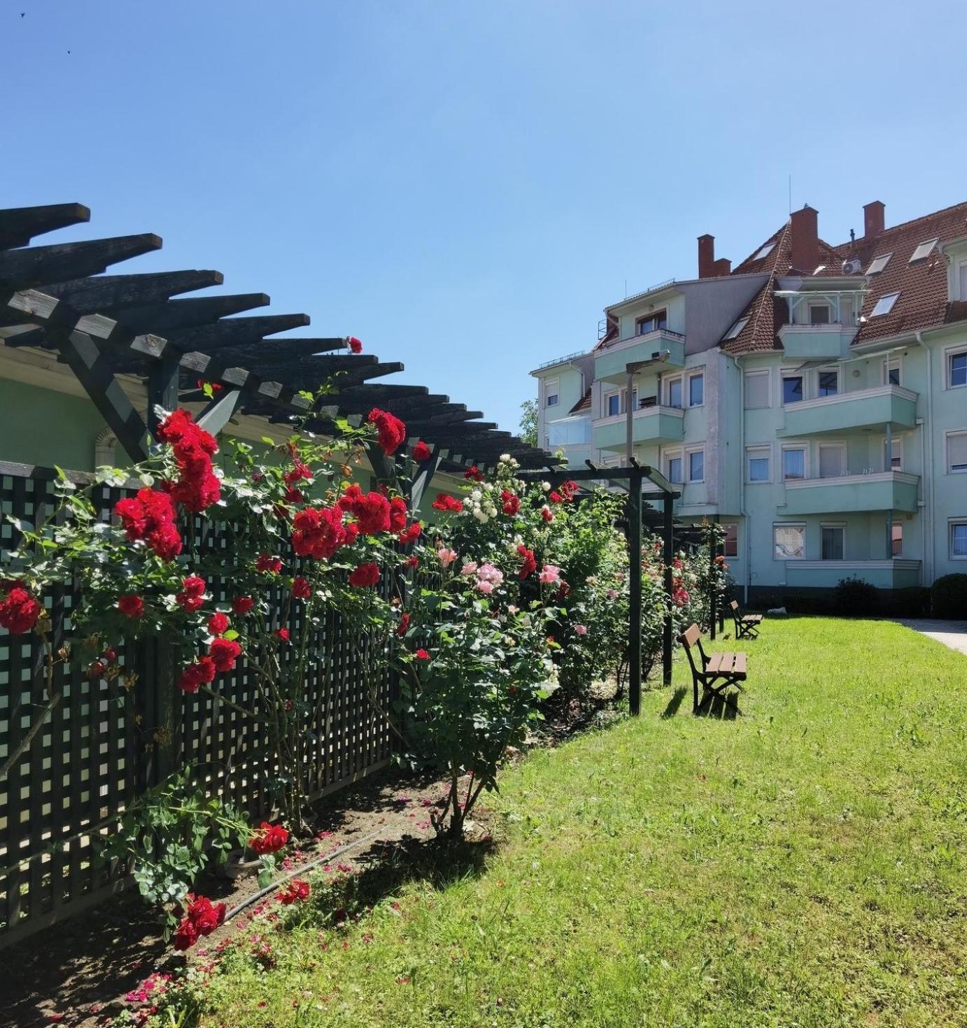 Rose Gold Apartment Zalaegerszeg Exteriér fotografie